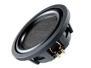 Subwoofer 25 cm Subwoofer 25 cm