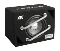 	Caisson BassReflex 20 cm	