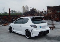 PANNEAU PORTE PE 206 BIG EVO
