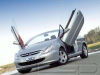 KIT LAMBO DOORS POUR PEUGEOT 307